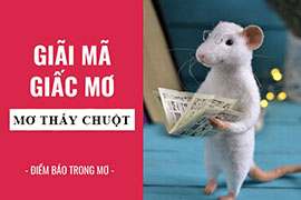 Nằm mơ thấy chuột đánh số gì? Giải mã giấc mơ thấy chuột?